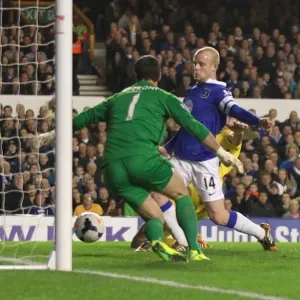 Naismith's Dramatic Goal: Everton vs Crystal Palace in BPL (16-04-2014) - Everton 2, Crystal Palace 3