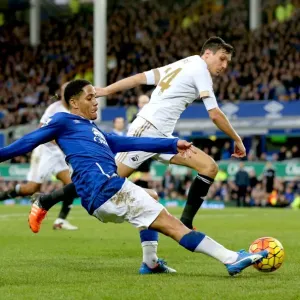 Pienaar vs Cork: A Battle for Ball Possession - Everton vs Swansea City, Premier League Pienaar vs Cork: A Battle for Ball Possession - Everton vs Swansea City, Premier League
