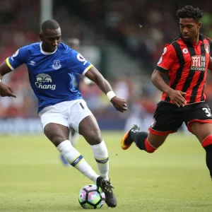 Premier League - AFC Bournemouth v Everton - Vitality Stadium