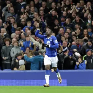 Romelu Lukaku Scores His Second Goal: Everton FC's Triumph Over Stoke City in the Barclays Premier League at Goodison Park Romelu Lukaku Scores His Second Goal: Everton FC's Triumph Over Stoke City in the Barclays Premier League at Goodison Park