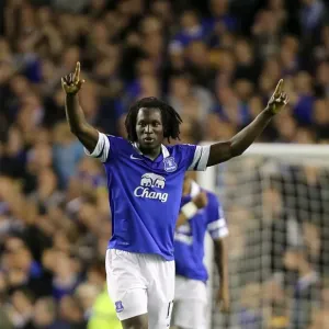Romelu Lukaku's Triple: Everton's Comeback Win Against Newcastle United (3-2, Barclays Premier League, Goodison Park, 30-09-2013) Romelu Lukaku's Triple: Everton's Comeback Win Against Newcastle United (3-2, Barclays Premier League, Goodison Park, 30-09-2013)