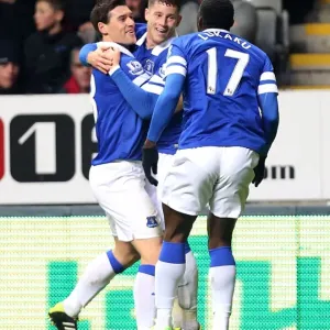 Ross Barkley's Strike: Everton's Triumphant 3-0 Victory Over Newcastle United (Barclays Premier League, St. James Park - 25-03-2014) Ross Barkley's Strike: Everton's Triumphant 3-0 Victory Over Newcastle United (Barclays Premier League, St. James Park - 25-03-2014)