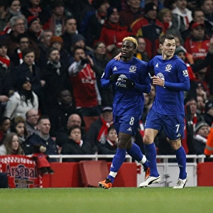 Saha and Bilyaletdinov: Everton's Unforgettable Goal Celebration vs. Arsenal (01 February 2011)