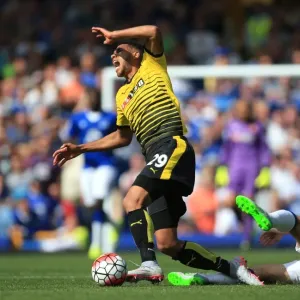 Seamus Coleman vs. Etienne Capoue: A Football Rivalry Unfolds at Goodison Park (Everton vs. Watford, Premier League) Seamus Coleman vs. Etienne Capoue: A Football Rivalry Unfolds at Goodison Park (Everton vs. Watford, Premier League)