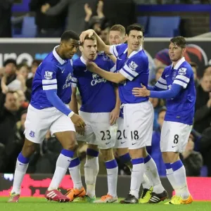 Seamus Coleman's Brace: Everton's Double Dominance Over Fulham (14-12-2013) Seamus Coleman's Brace: Everton's Double Dominance Over Fulham (14-12-2013)