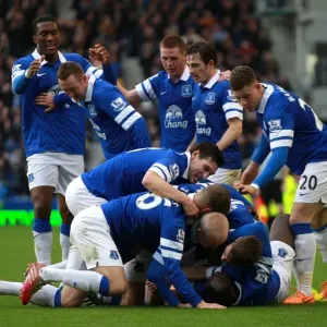 Premier League Prints: Everton 2 V Cardiff City 1 : Goodison Park : 15-03-2014