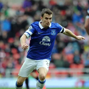 Seamus Coleman's Game-Winning Goal: Everton's Victory at Sunderland's Stadium of Light (BPL: Everton 1-0 Sunderland, April 12, 2014)