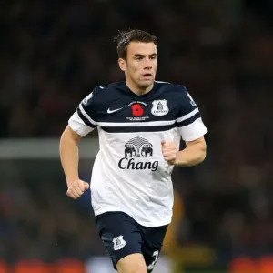 Seamus Coleman's Heroic Performance: Everton Holds Crystal Palace Scoreless at Selhurst Park (BPL: Everton vs. Crystal Palace, November 9, 2013) Seamus Coleman's Heroic Performance: Everton Holds Crystal Palace Scoreless at Selhurst Park (BPL: Everton vs. Crystal Palace, November 9, 2013)
