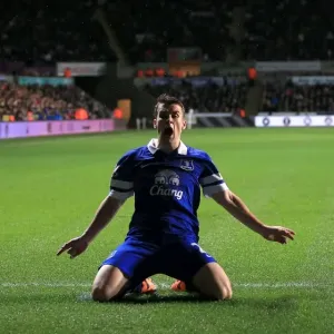 Seamus Coleman's Stunner: The Game-Winning Goal for Everton vs. Swansea City (12-22-2013) Seamus Coleman's Stunner: The Game-Winning Goal for Everton vs. Swansea City (12-22-2013)