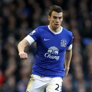 Seamus Coleman's Winning Goal: Everton 1-0 Stoke City (Goodison Park, March 30, 2013) Seamus Coleman's Winning Goal: Everton 1-0 Stoke City (Goodison Park, March 30, 2013)