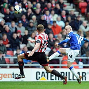 Steven Naismith's Game-Winning Goal: Everton's 1-0 Victory at Sunderland's Stadium of Light (Barclays Premier League, April 12, 2014)