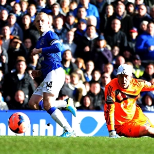 Steven Naismith's Thrilling Third Goal: Everton's 5-1 FA Cup Victory over Swansea City (February 16, 2014, Goodison Park)