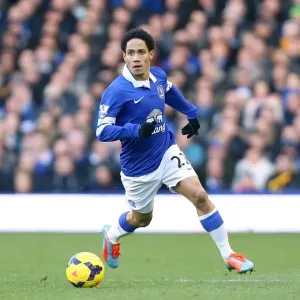 Steven Pienaar's Brilliant Goal: Everton's Triumph Over Southampton in the Barclays Premier League (December 29, 2013 - Goodison Park) Steven Pienaar's Brilliant Goal: Everton's Triumph Over Southampton in the Barclays Premier League (December 29, 2013 - Goodison Park)