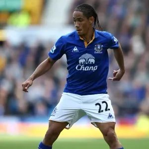 Steven Pienaar's Dramatic Victory: Everton's Thrilling Comeback Against Newcastle United (13 May 2012, Goodison Park)