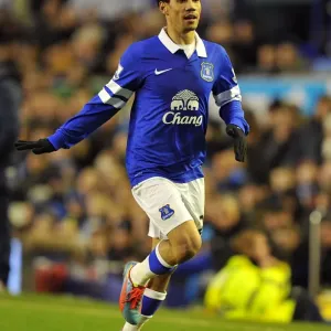 Steven Pienaar's Stunner: Everton's Win Against Aston Villa (01-02-2014) Steven Pienaar's Stunner: Everton's Win Against Aston Villa (01-02-2014)