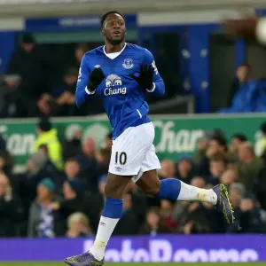 Thrilling First Goal: Romelu Lukaku Ignites Everton's Victory Against Crystal Palace (Premier League)