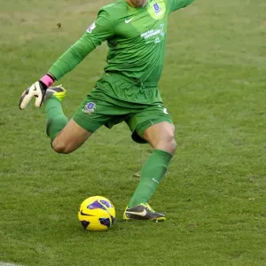Thrilling Stalemate: Tim Howard's Heroic Performance - Everton 3-3 Aston Villa (Barclays Premier League, 02-02-2013) Thrilling Stalemate: Tim Howard's Heroic Performance - Everton 3-3 Aston Villa (Barclays Premier League, 02-02-2013)