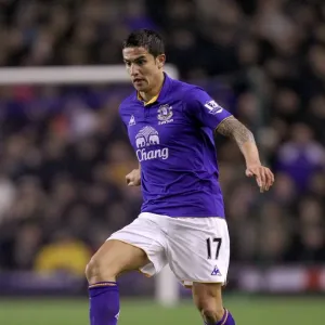Tim Cahill's Epic Goal: Everton vs Manchester City (31 January 2012, Goodison Park) Tim Cahill's Epic Goal: Everton vs Manchester City (31 January 2012, Goodison Park)