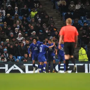 Tim Cahill's Thrilling Opener: Everton Players Celebrate Against Manchester City (December 2010) Tim Cahill's Thrilling Opener: Everton Players Celebrate Against Manchester City (December 2010)