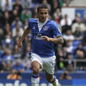 Tim Cahill's Thunderbolt: Everton's Triumph at Fulham's Craven Cottage - Barclays Premier League Tim Cahill's Thunderbolt: Everton's Triumph at Fulham's Craven Cottage - Barclays Premier League