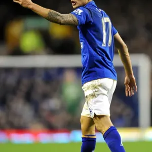 Tim Cahill's Thunderbolt: Everton's Unforgettable Goal Against Blackburn Rovers, Goodison Park - Barclays Premier League Tim Cahill's Thunderbolt: Everton's Unforgettable Goal Against Blackburn Rovers, Goodison Park - Barclays Premier League