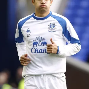 Tim Cahill's Thunderbolt: Everton's Unforgettable Victory Over Fulham (19 March 2011, Goodison Park) Tim Cahill's Thunderbolt: Everton's Unforgettable Victory Over Fulham (19 March 2011, Goodison Park)