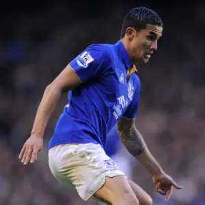 Tim Cahill's Thunderbolt: Everton's Unforgettable Victory Over Norwich City (17 December 2011) Tim Cahill's Thunderbolt: Everton's Unforgettable Victory Over Norwich City (17 December 2011)