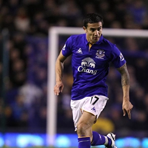 Tim Cahill's Thunderbolt: Everton's Victory Over Bolton Wanderers (04 January 2012, Goodison Park)