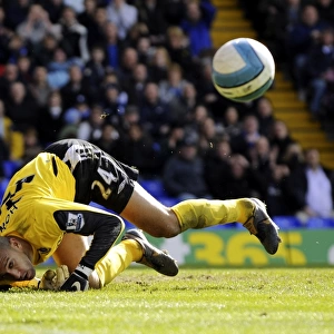 Tim Howard in Action: Everton vs. Birmingham City (April 12, 2008, Barclays Premier League)