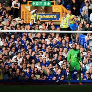 Tim Howard in Action: Everton vs Crystal Palace, Premier League, Goodison Park