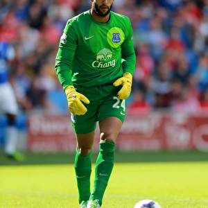 Tim Howard's Heroic Performance: Everton Holds Cardiff City to a 0-0 Stalemate (September 2013)