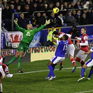 Tim Howard's Spectacular Save: Everton vs. Arsenal, Barclays Premier League (1-1) - Goodison Park, November 2012