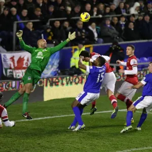 Tim Howard's Spectacular Save: Everton vs. Arsenal, Barclays Premier League (1-1) - Goodison Park, November 2012