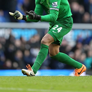 Tim Howard's Triumph: Everton's Thrilling 3-2 Victory Over Swansea City (22-03-2014, Goodison Park)