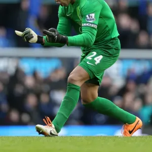 Tim Howard's Triumph: Everton's Thrilling 3-2 Victory Over Swansea City (22-03-2014, Goodison Park) Tim Howard's Triumph: Everton's Thrilling 3-2 Victory Over Swansea City (22-03-2014, Goodison Park)