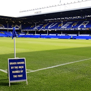 Tranquil Goodison Park: Everton's Turf Poised for Glory