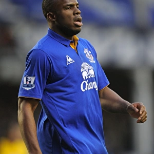 Victor Anichebe's Thrilling Goal: Everton vs. Blackburn Rovers, Premier League (21 January 2012, Goodison Park)