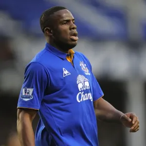 Victor Anichebe's Thrilling Goal: Everton vs. Blackburn Rovers, Premier League (21 January 2012, Goodison Park)