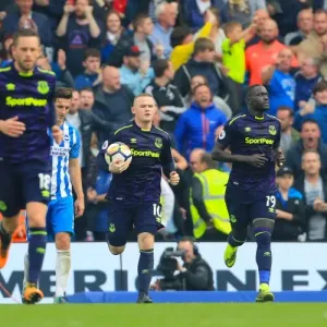 Premier League Prints: Brighton And Hove Albion V Everton - AMEX Stadium