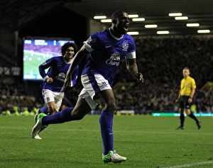 Everton 2 V Newcastle United 2 : Goodison Park : 17-09-2012 Prints: Anichebe's Double: Thrilling 2-2 Draw for Everton against Newcastle United (September 17)