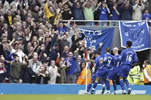 Arsenal v Everton - 06 / 07 - 28 / 10 / 06 Tim Cahill celebrates scoring the first goal for Everton with team