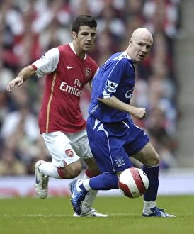 Arsenal v Everton Gallery: Arsenal v Everton Arsenals Francesc Fabregas and Evertons Andy Johnson in action Mandatory