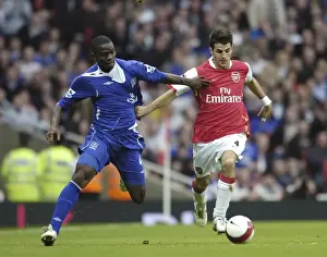 Arsenal v Everton Arsenals Francesc Fabregas and Evertons Joseph Yobo in action