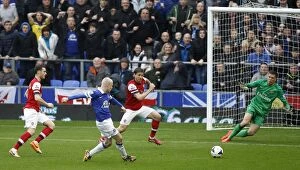 Ball Football Full Length Gallery: Barclays Premier League - Everton v Arsenal - Goodison Park