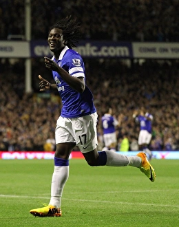 Season 2013-14 Prints: Barclays Premier League - Everton v Newcastle United - Goodison Park
