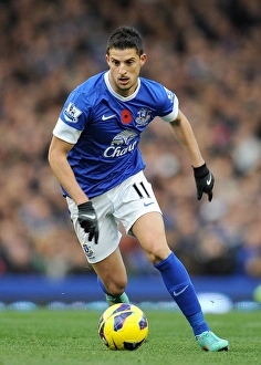 Season 2012-13 Gallery: Premier League Collection