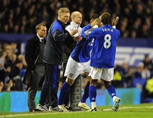 Images Dated 21st December 2011: Barclays Premier League - Everton v Swansea City - Goodison Park