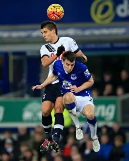 Images Dated 3rd January 2016: Barclays Premier League - Everton v Tottenham Hotspur - Goodison Park