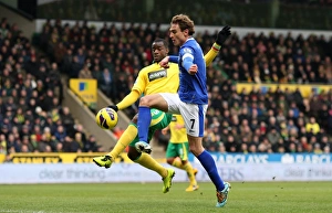Norwich City 2 V Everton 1 : Carrow Road : 23-02-2013 Prints: Barclays Premier League - Norwich City v Everton - Carrow Road