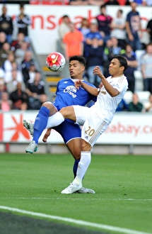 Barclays Premier League - Swansea City v Everton - Liberty Stadium Barclays Premier League - Swansea City v Everton - Liberty Stadium
